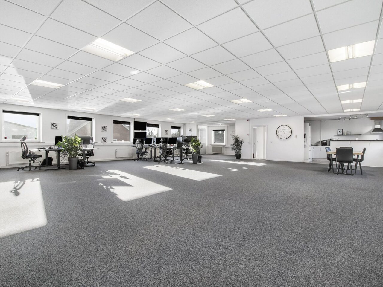 Kontor til Salg Kolding- Kontorer I lys hvid rum med grå gulvtæppe